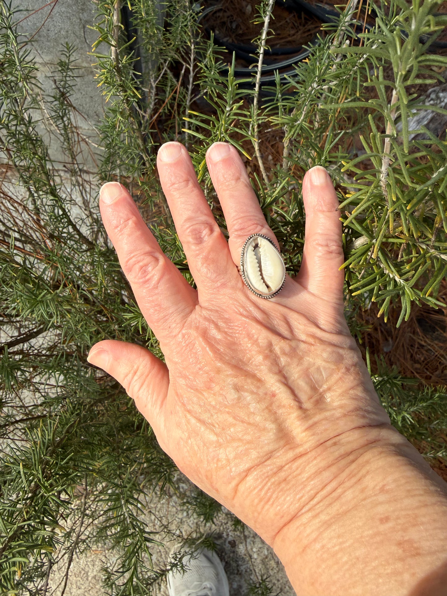 Boho Cowrie Shell Ring - 8