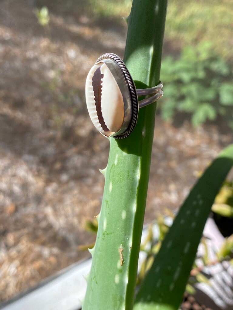 Boho Cowrie Ring - 6