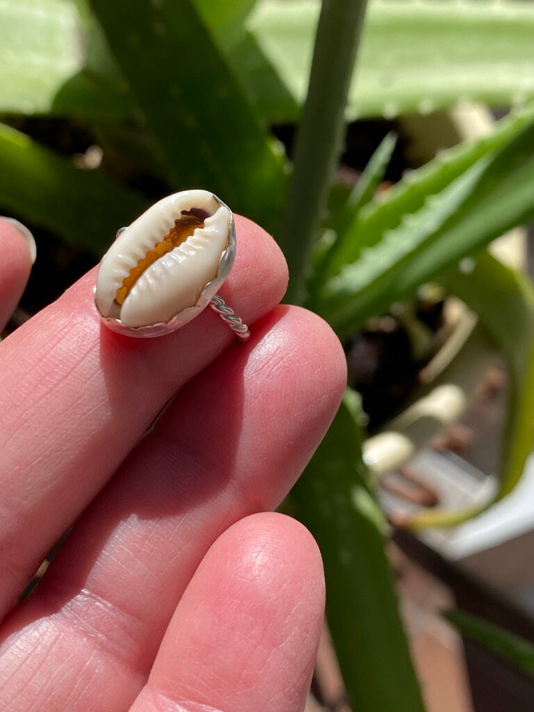 Cowrie Shell Pinkie Ring - 5