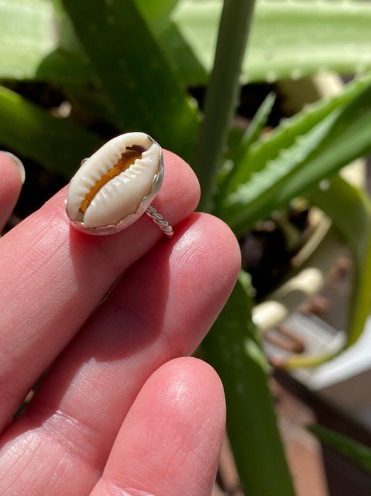 Cowrie Shell Pinkie Ring - 5